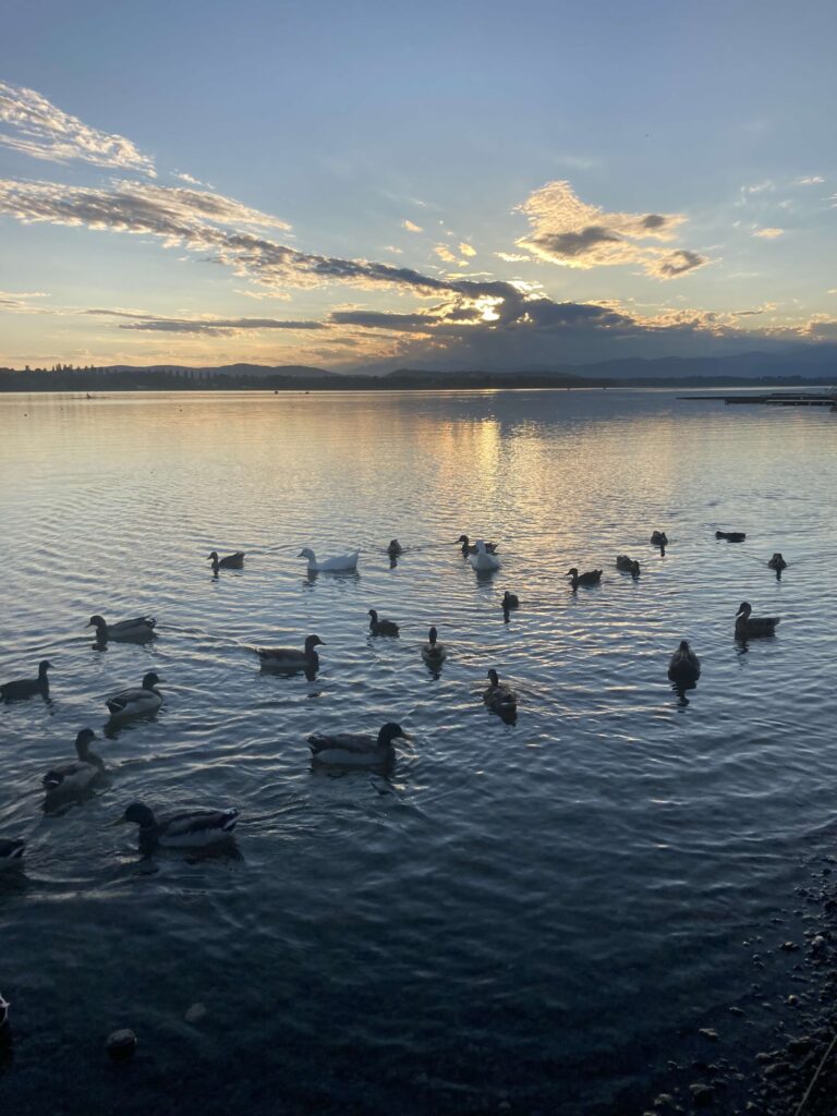 lago di varese
