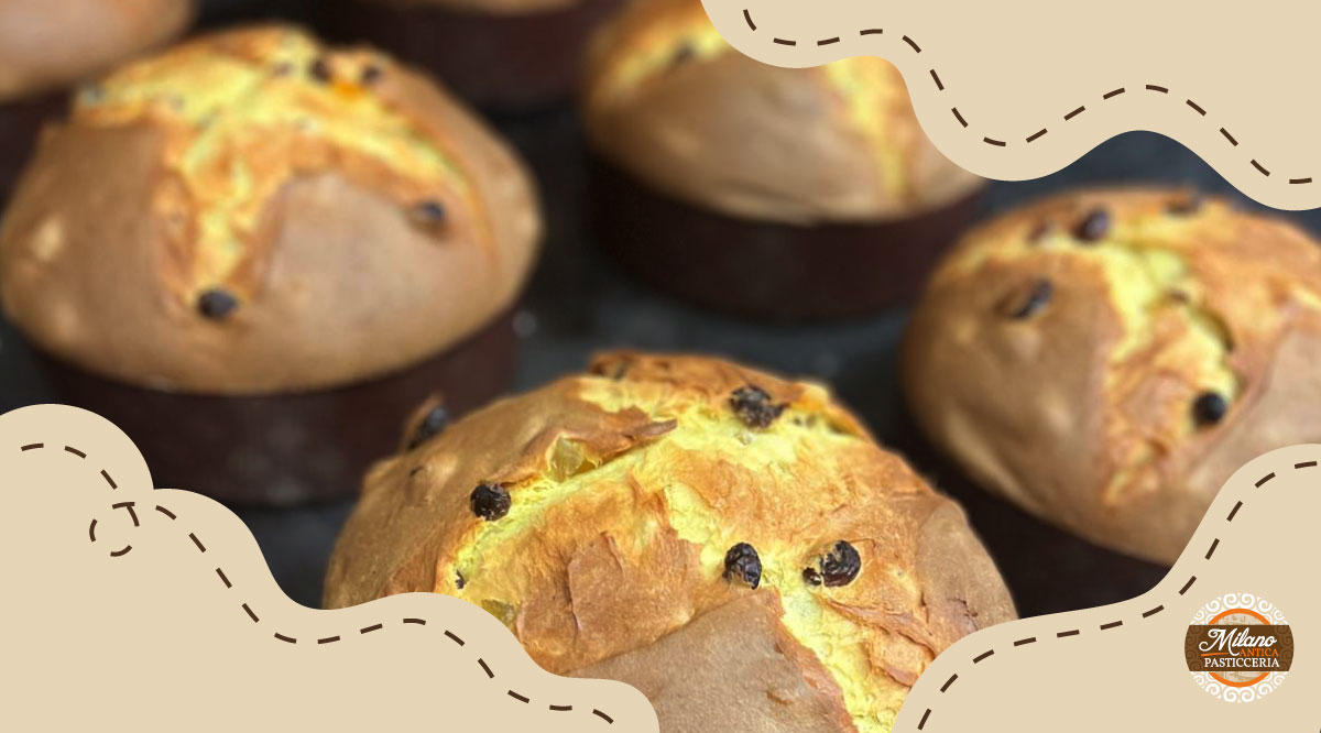 blog_PanettoneAgosto