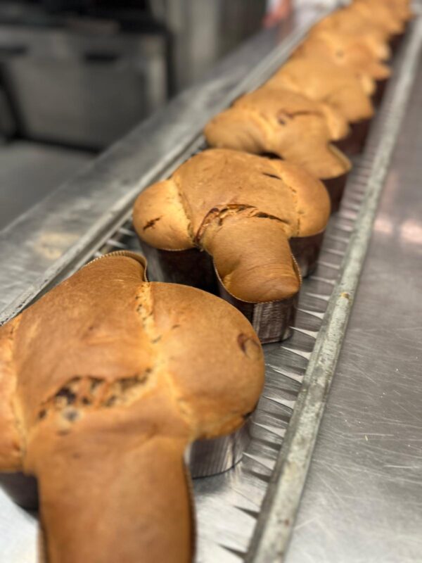 colombe in lavorazione